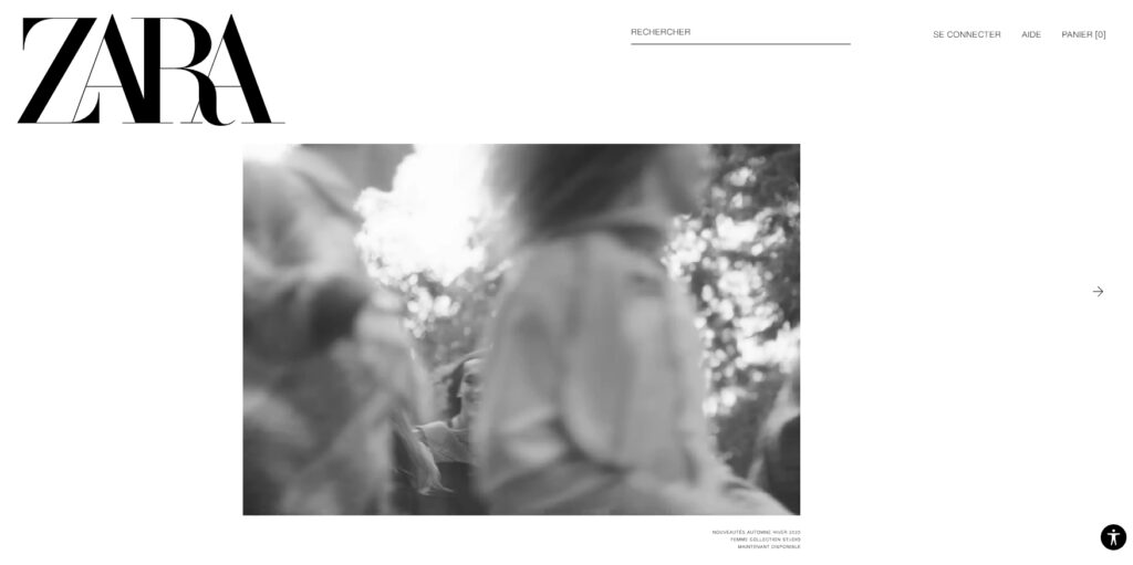 Site internet Zara